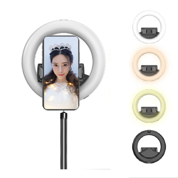 CYKE Q6 Selfie Live Broadcast Ring Beautifying Light