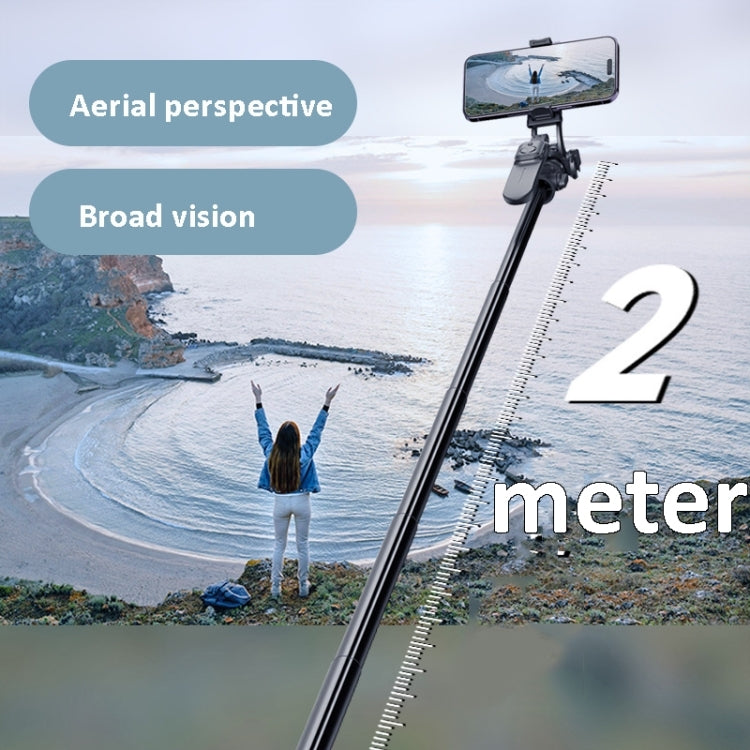 2m Metal Tripod Selfie Stick With 4 Expansion Interfaces & D07 Fill Light for Phone Camera, With D07 Fill Light